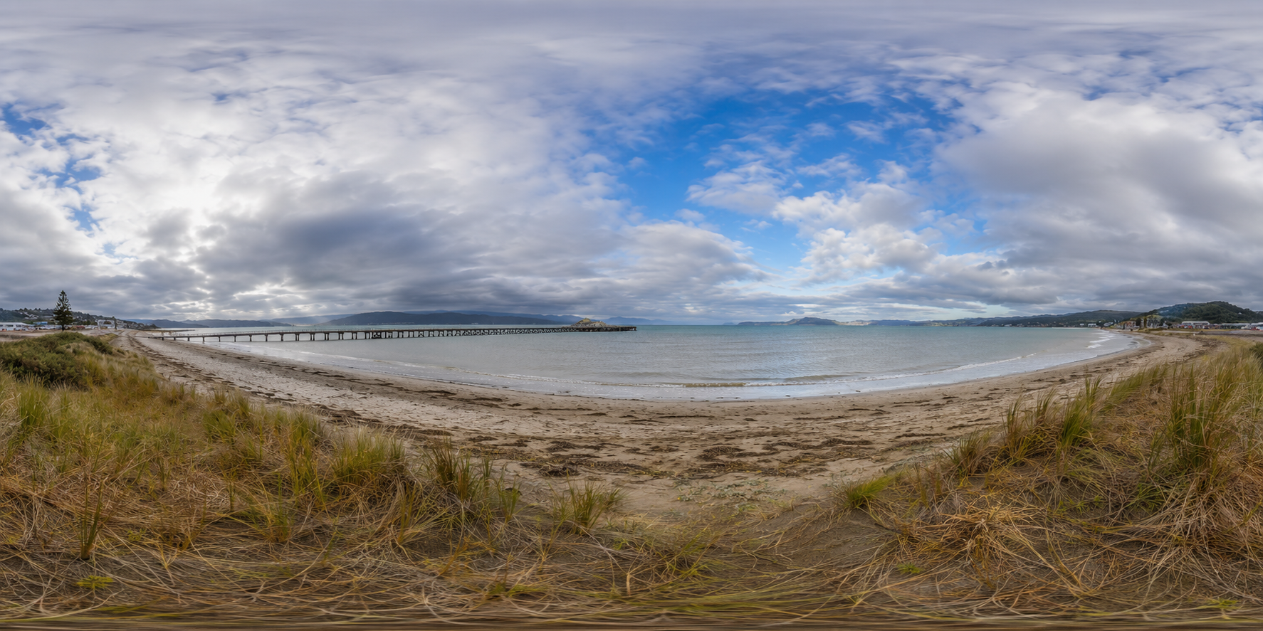 Wellington coast highlights tour